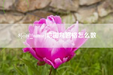 文山地图九宫格怎么数