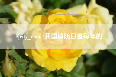 文山我国消防日是每年的