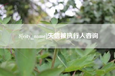 文山失信被执行人杳询