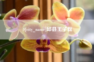 文山邱县王子磊