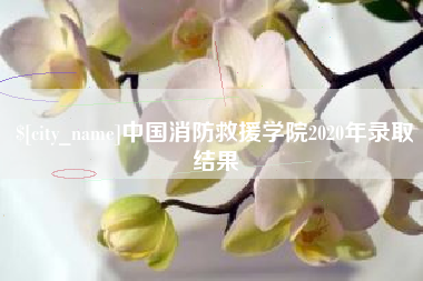 文山中国消防救援学院2020年录取结果