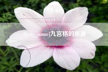 文山九宫格的来源