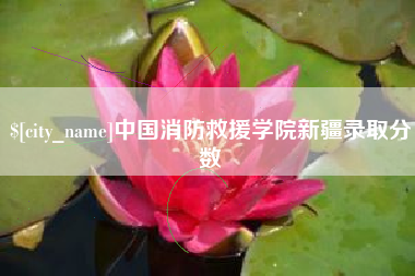 文山中国消防救援学院新疆录取分数