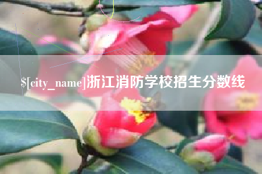 文山浙江消防学校招生分数线