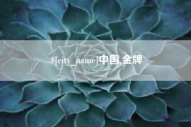 文山中国,金牌