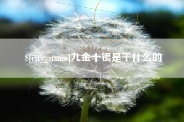 文山九金十银是干什么的
