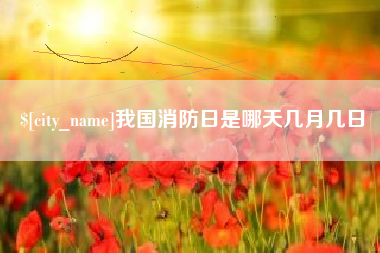 文山我国消防日是哪天几月几日