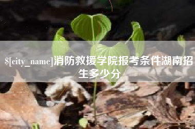 文山消防救援学院报考条件湖南招生多少分