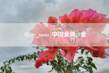 文山中国金牌18金