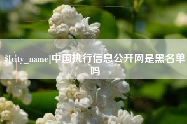 文山中国执行信息公开网是黑名单吗