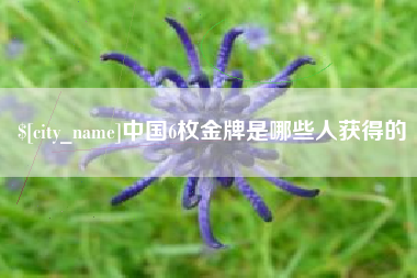 文山中国6枚金牌是哪些人获得的