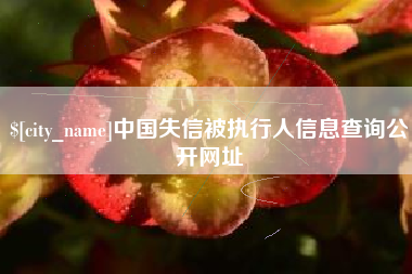 文山中国失信被执行人信息查询公开网址