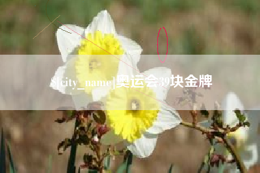 文山奥运会39块金牌