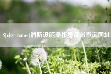 文山消防设施操作员证书查询网址