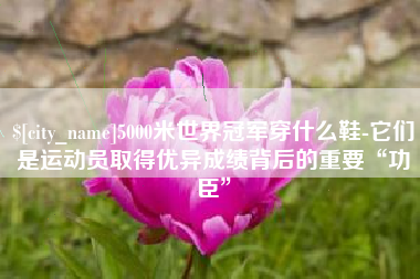 文山5000米世界冠军穿什么鞋-它们是运动员取得优异成绩背后的重要“功臣”