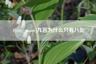 文山九宫为什么只有八卦