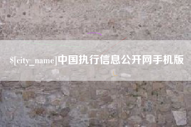 文山中国执行信息公开网手机版