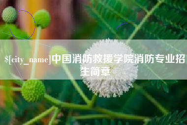 文山中国消防救援学院消防专业招生简章