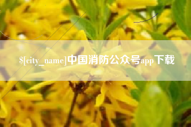 文山中国消防公众号app下载