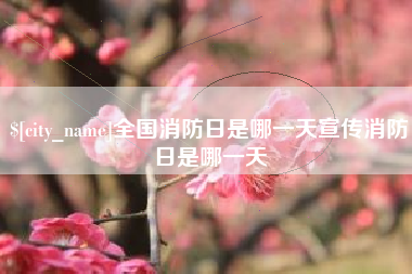 文山全国消防日是哪一天宣传消防日是哪一天