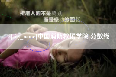 文山中国消防救援学院 分数线