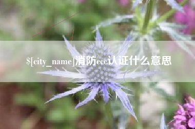 文山消防ccc认证什么意思