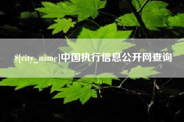文山中国执行信息公开网查询