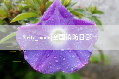 文山全国消防日哪一