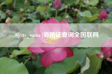 文山消防证查询全国联网