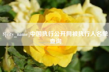 文山中国执行公开网被执行人名单查询