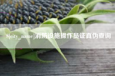 文山消防设施操作员证真伪查询