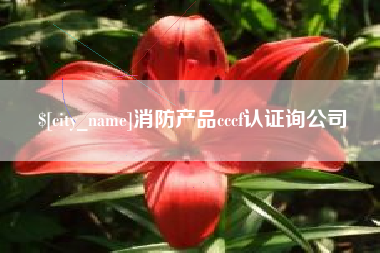 文山消防产品cccf认证询公司