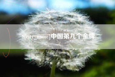 文山中国第九个金牌