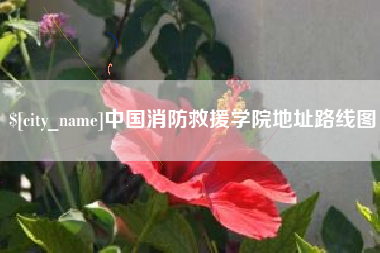 文山中国消防救援学院地址路线图