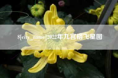 文山2022年九宫格飞星图