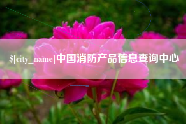 文山中国消防产品信息查询中心