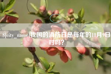 文山我国的消防日是每年的11月9日对吗？