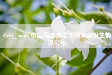 文山中国消防救援学院湖南招生情况公布