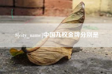 文山中国九枚金牌分别是