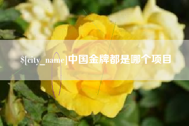 文山中国金牌都是哪个项目