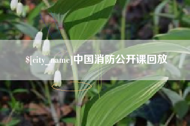 文山中国消防公开课回放