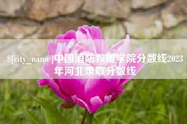 文山中国消防救援学院分数线2023年河北录取分数线