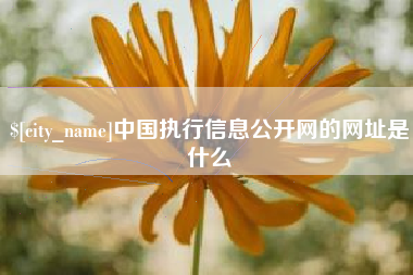 文山中国执行信息公开网的网址是什么