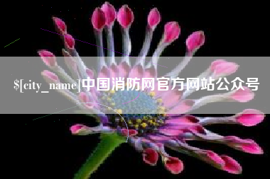 文山中国消防网官方网站公众号