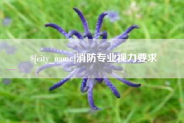 文山消防专业视力要求