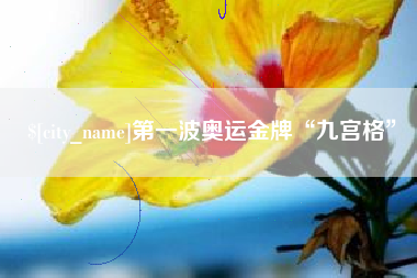 文山第一波奥运金牌“九宫格”
