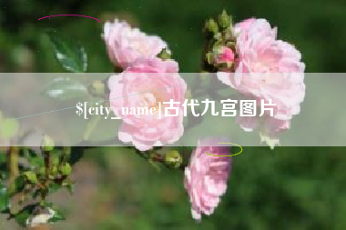 文山古代九宫图片