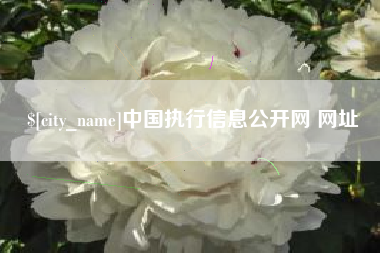 文山中国执行信息公开网 网址