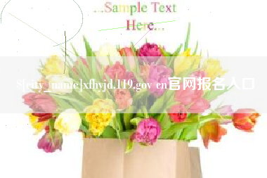 文山xfhyjd.119.gov cn官网报名入口