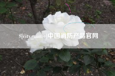 文山中国消防产品官网